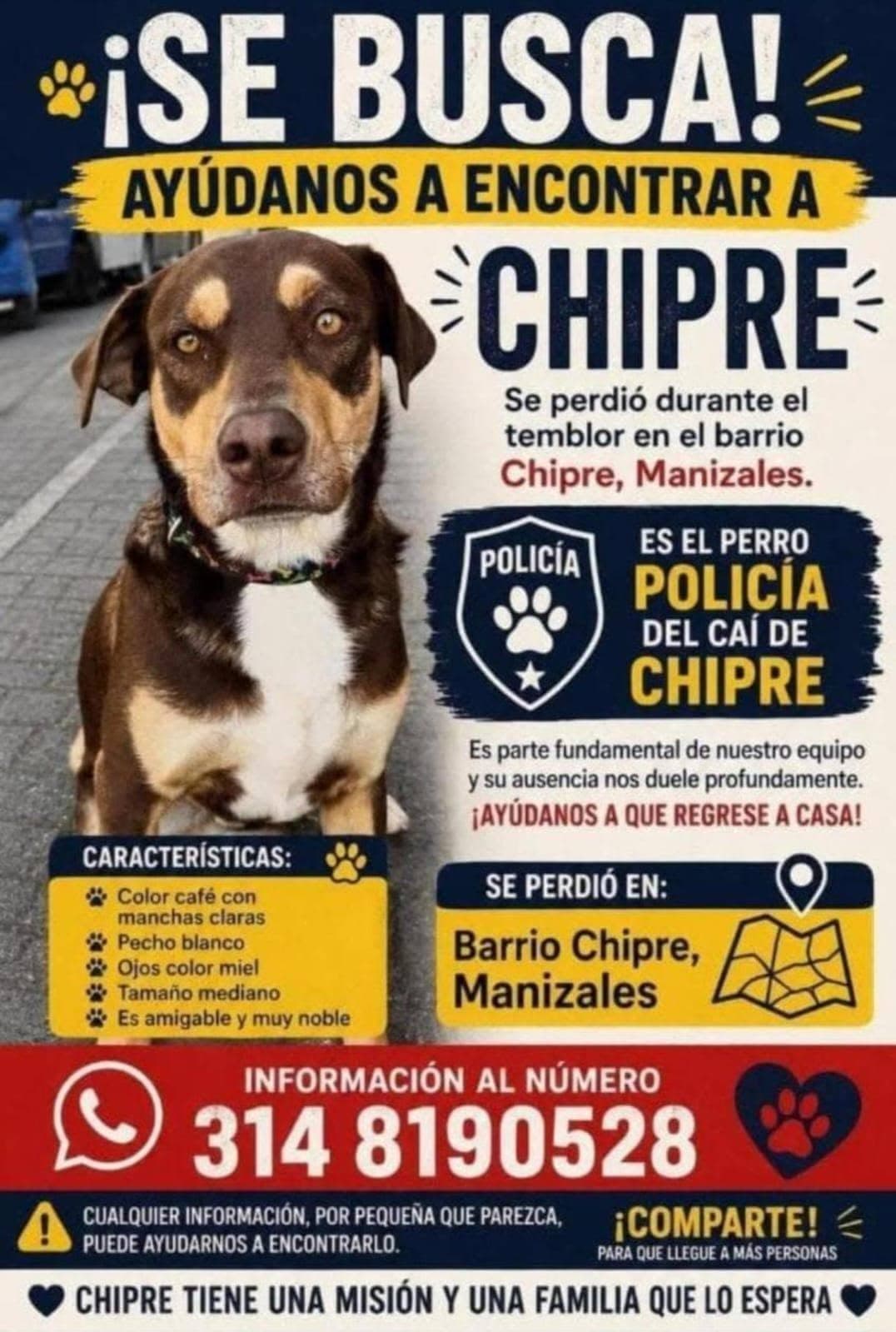 Foto de Chipre (perro perdido)