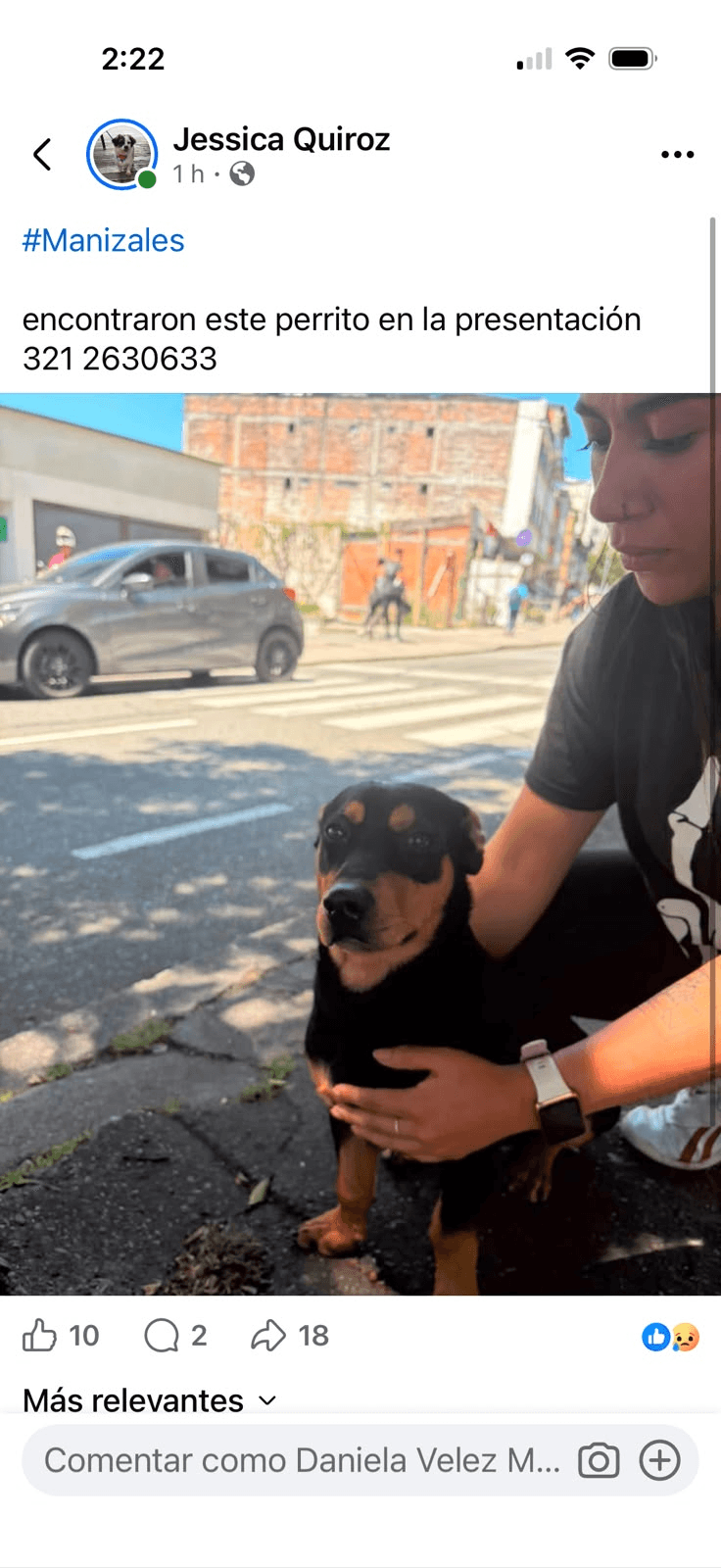 Foto de Mascota encontrada