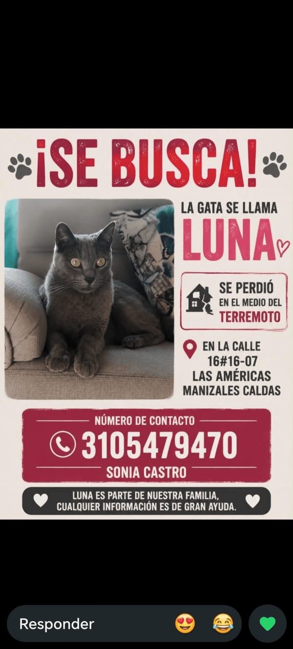 Foto de LUNA — mascota perdida