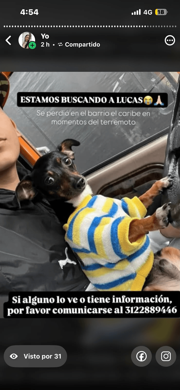 Foto de LUCAS — mascota perdida