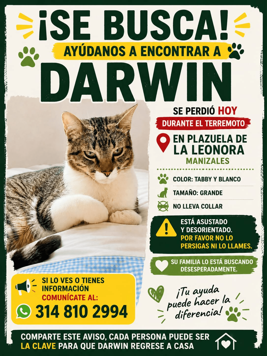 Foto de DARWIN — mascota perdida