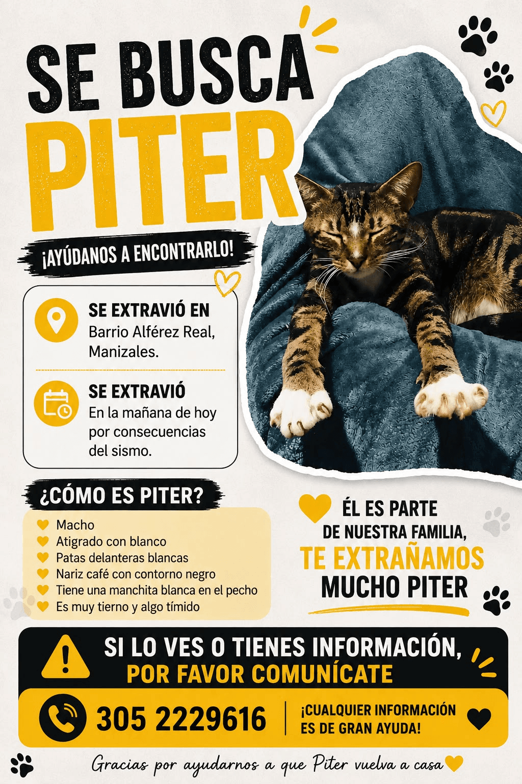 Foto de PITER — mascota perdida