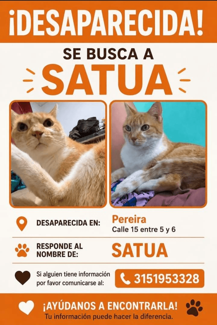 Foto de SATUA — mascota perdida