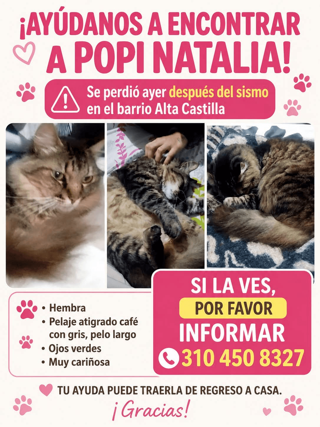 Foto de POPI NATALIA — mascota perdida