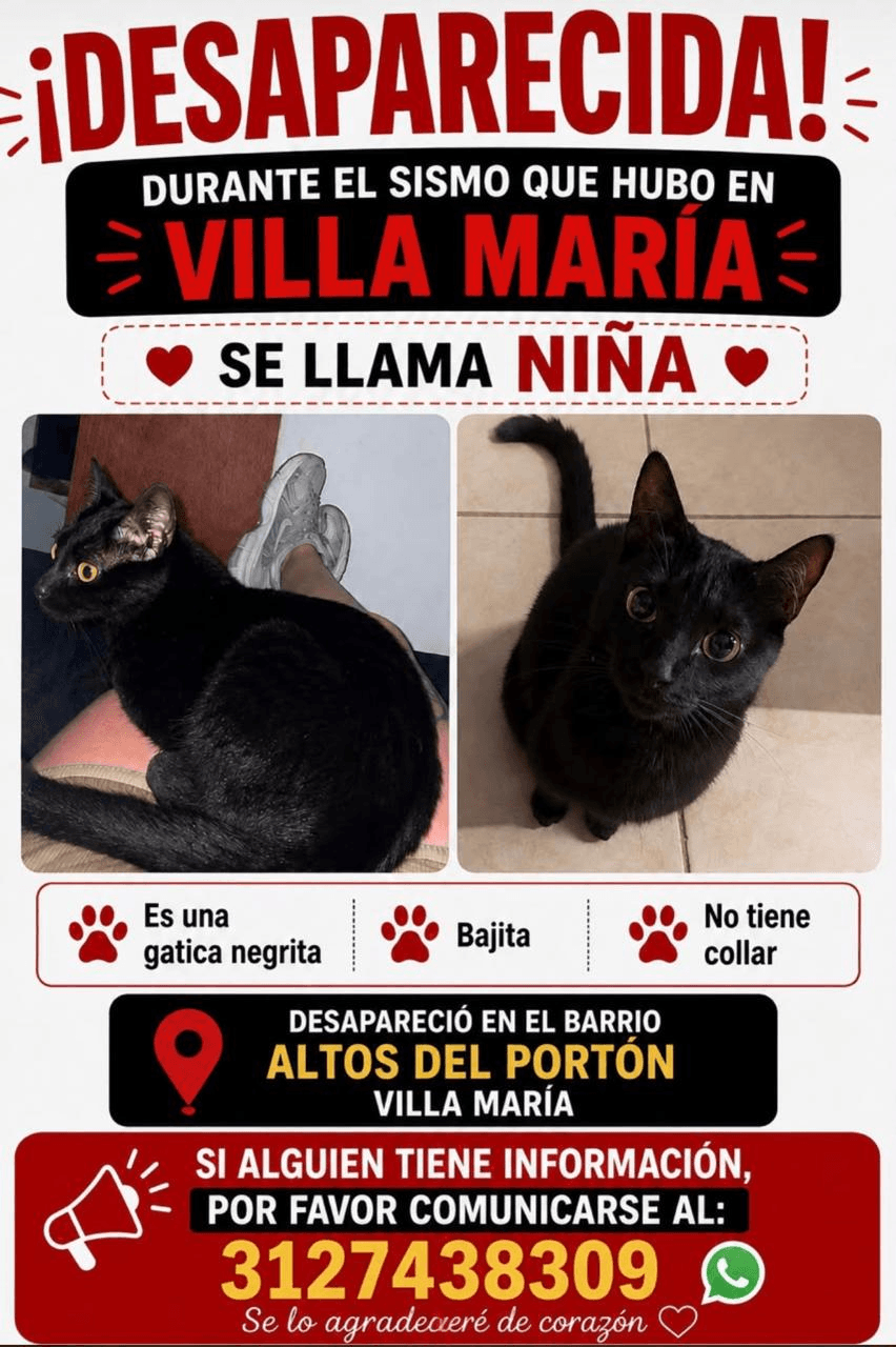 Foto de NIÑA — mascota perdida