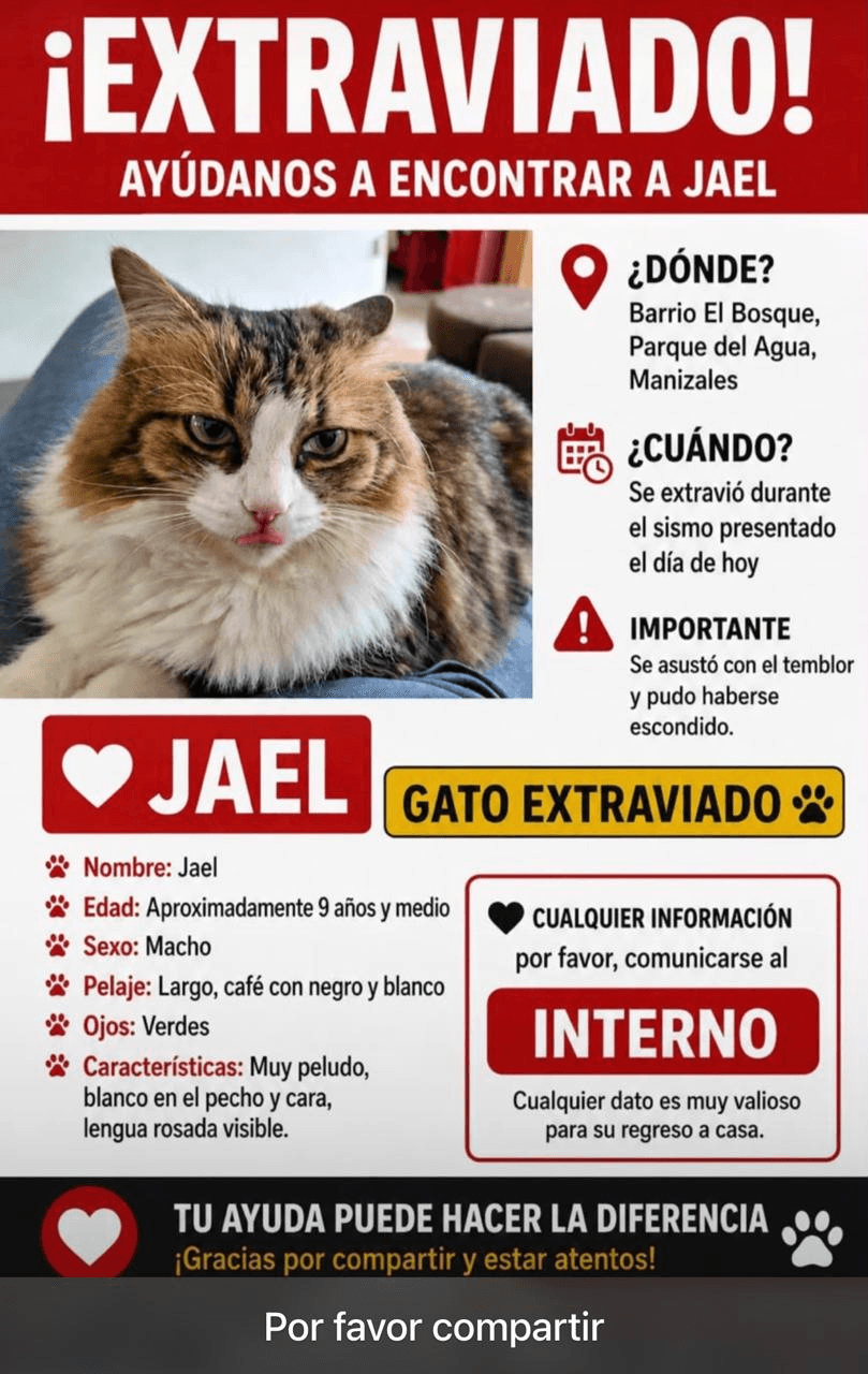 Foto de JAEL — mascota perdida