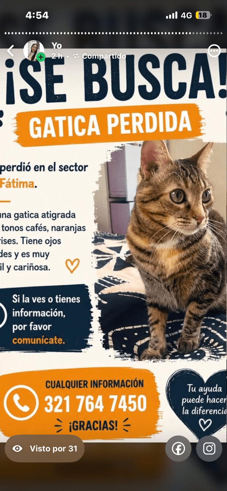 Foto de Mascota perdida