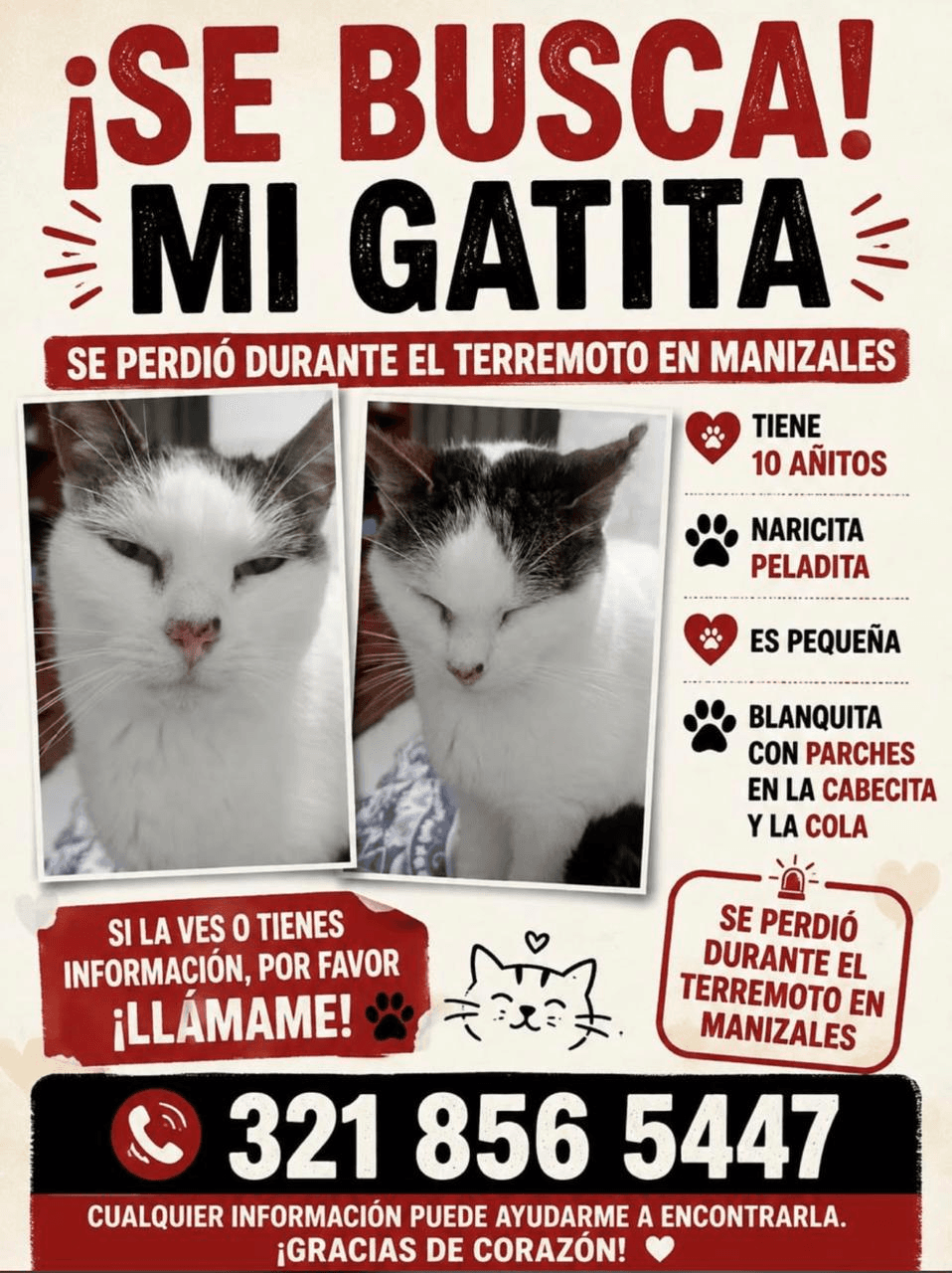 Foto de Mascota perdida