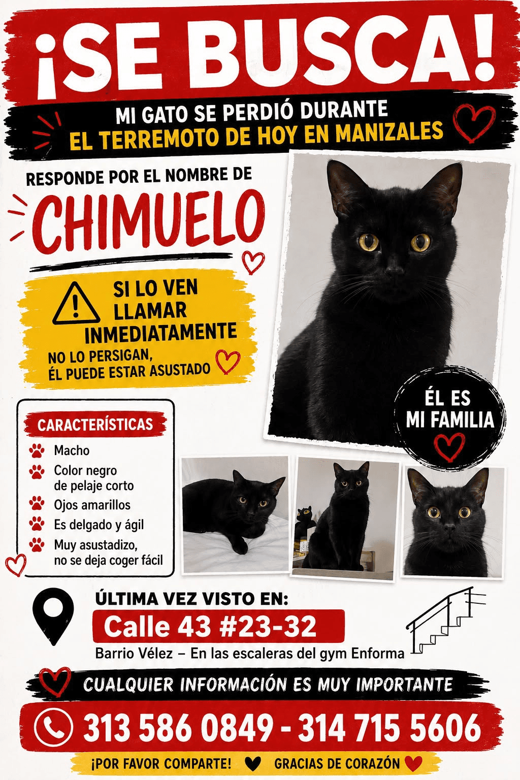 Foto de CHIMUELO — mascota perdida