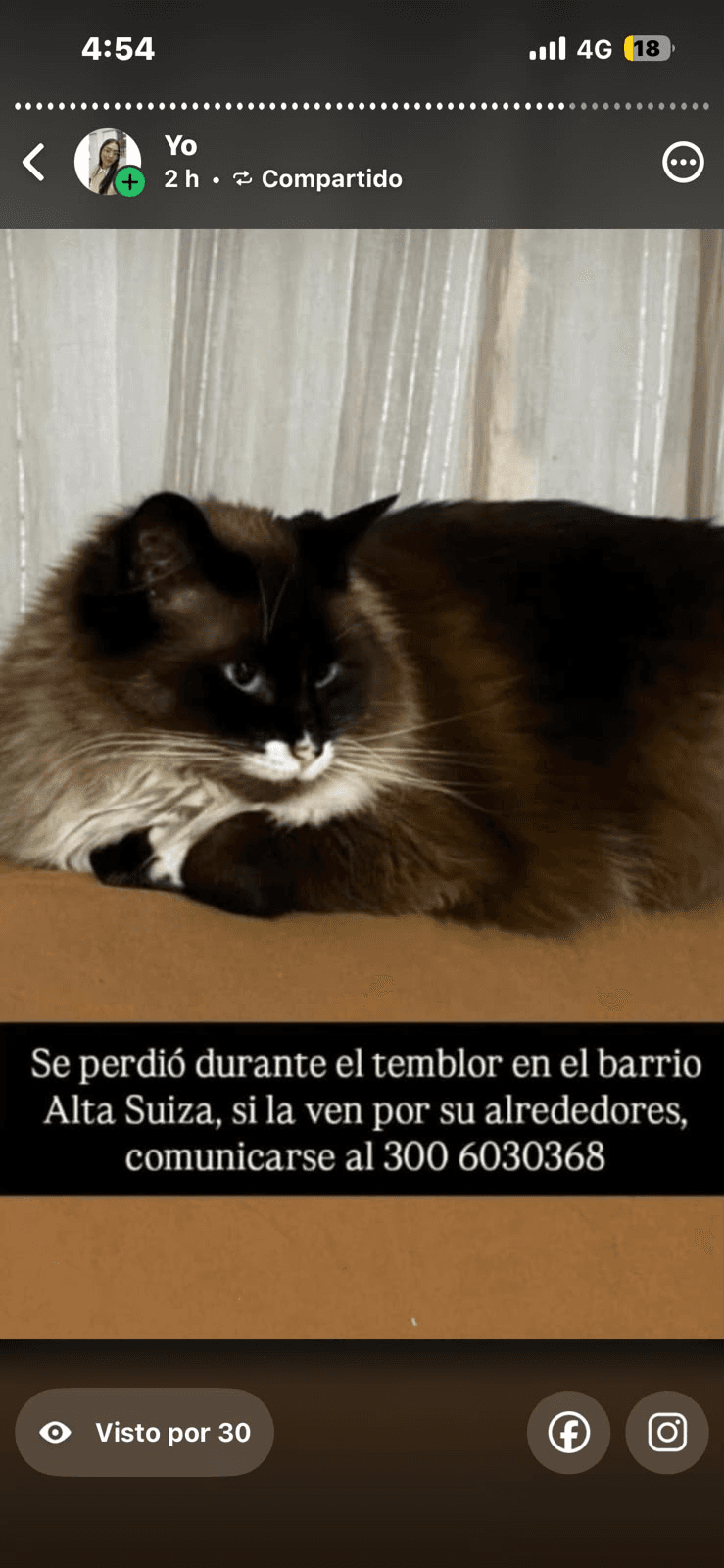 Foto de Mascota perdida