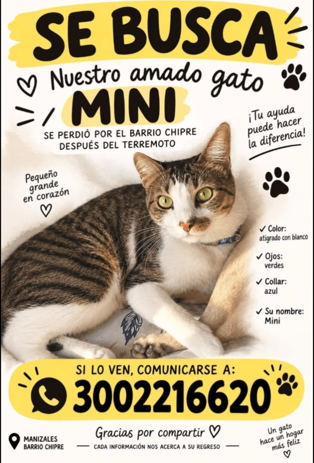 Foto de MINI — mascota perdida
