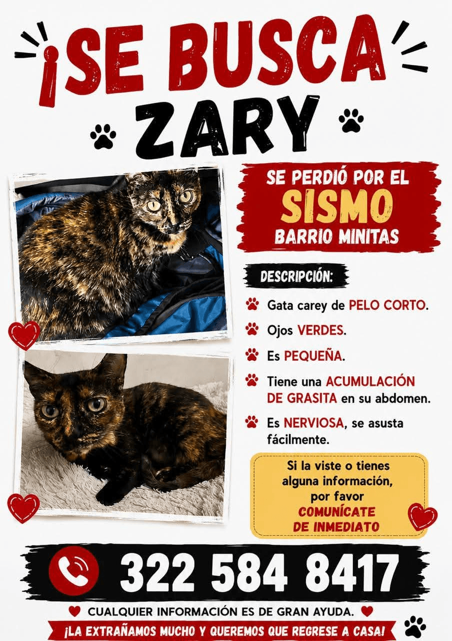 Foto de ZARY — mascota perdida