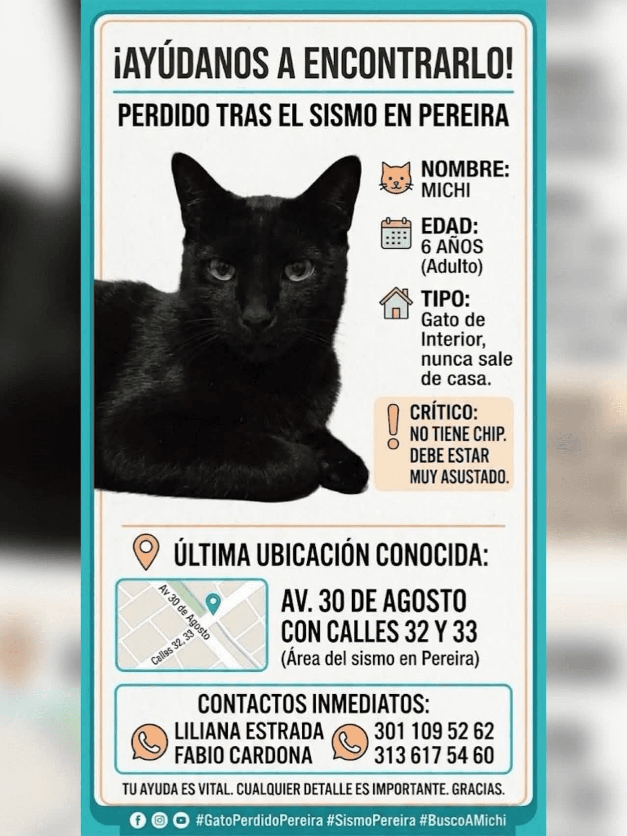 Foto de MICHI — mascota perdida