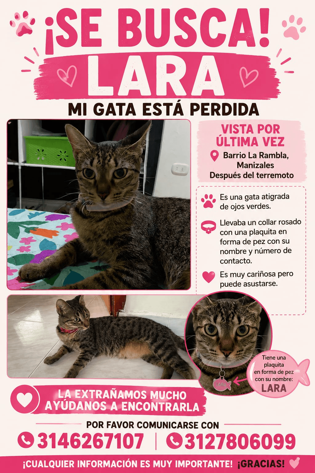 Foto de LARA — mascota encontrada