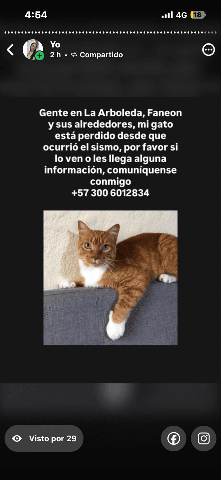 Foto de Mascota perdida