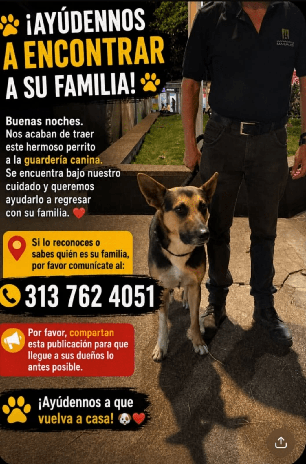 Foto de Mascota encontrada