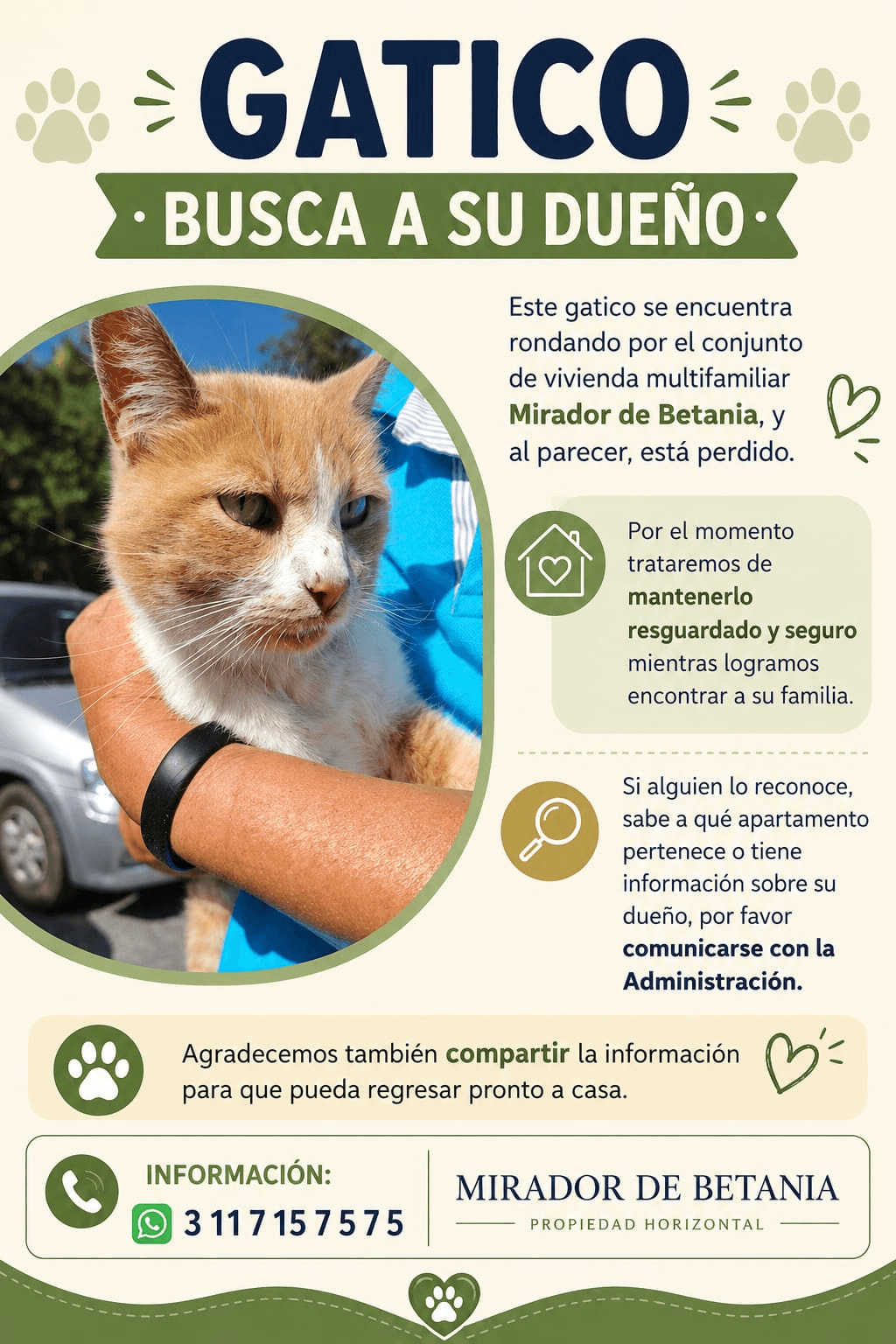 Foto de Mascota encontrada