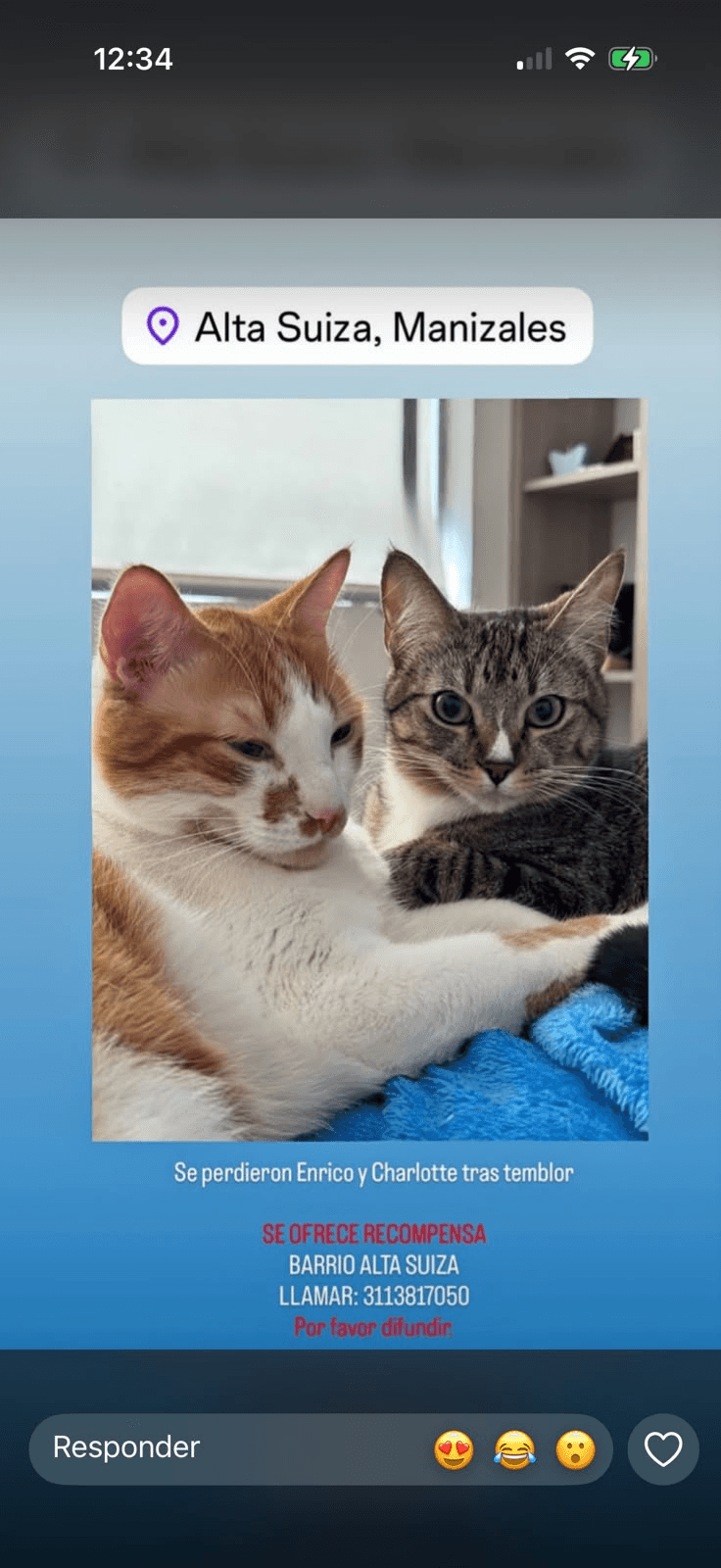 Foto de ENRICO Y CHARLOTTE — mascota perdida