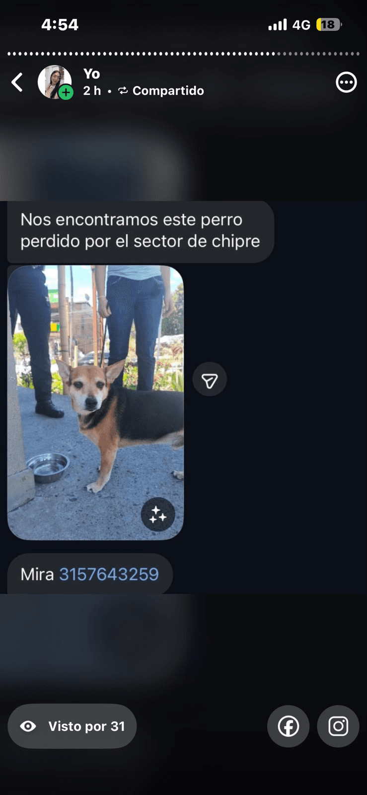 Foto de Mascota encontrada