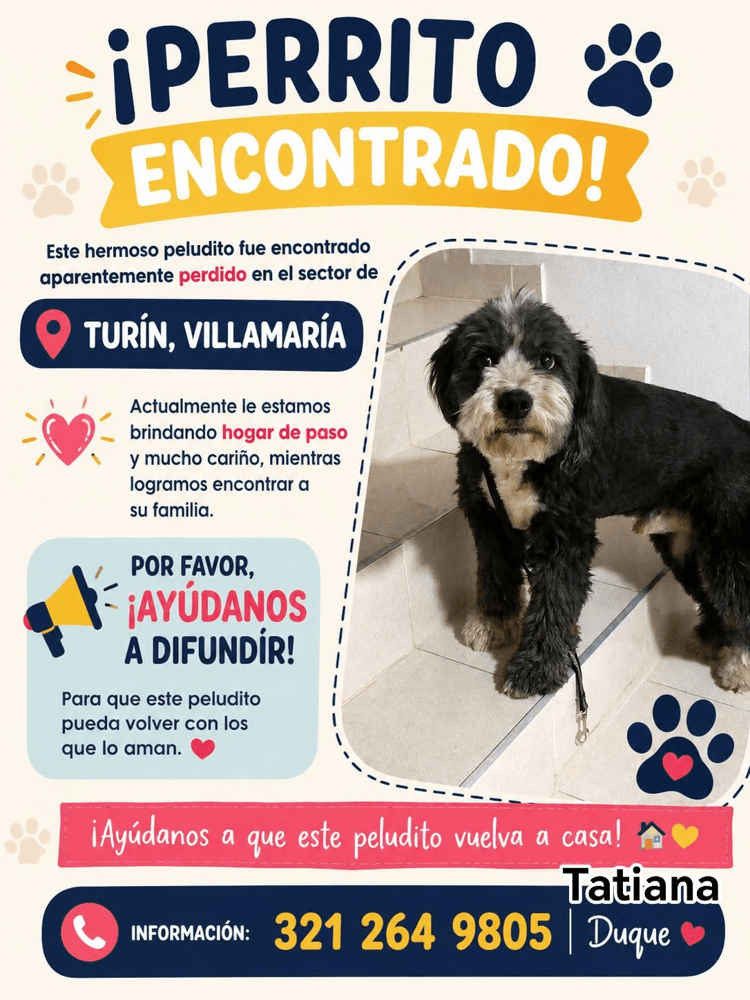 Foto de Turín -ENCONTRADO — mascota encontrada