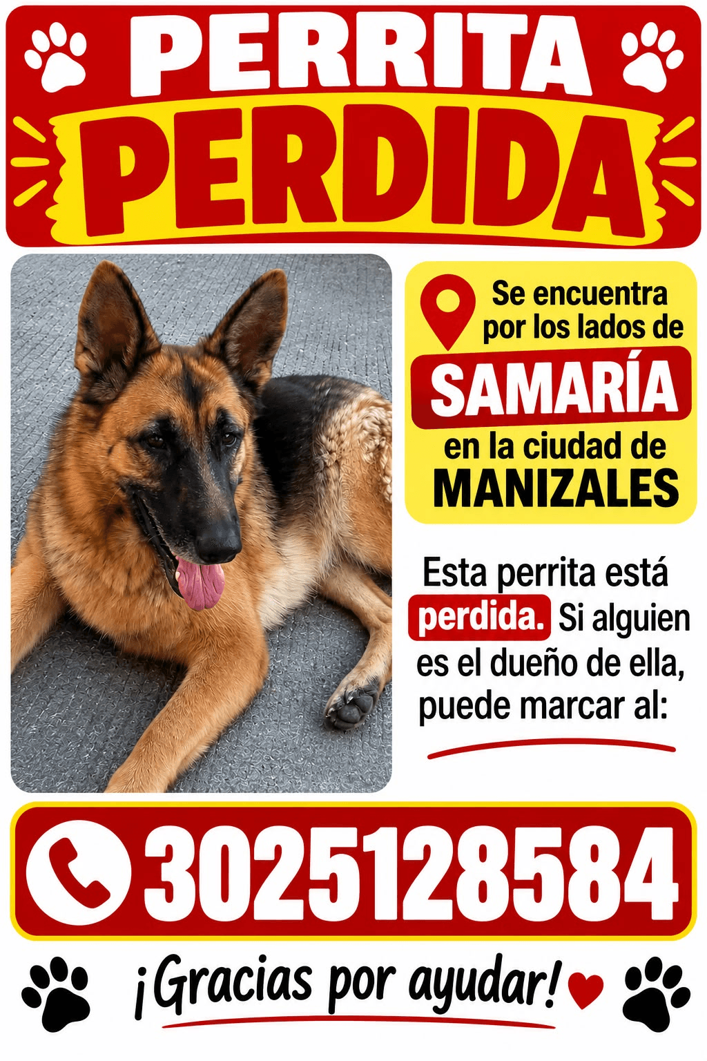 Foto de Mascota encontrada