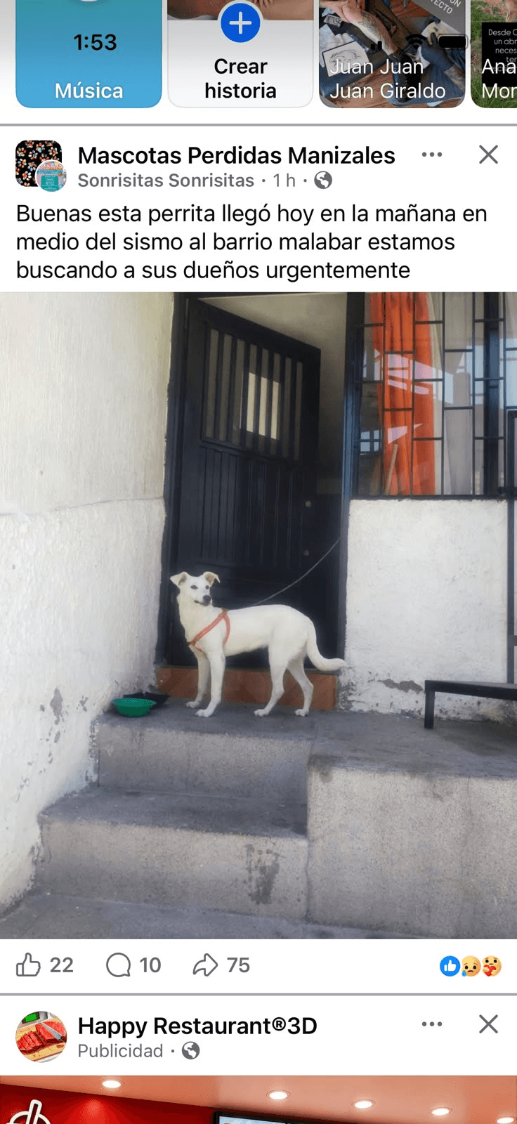 Foto de Mascota encontrada