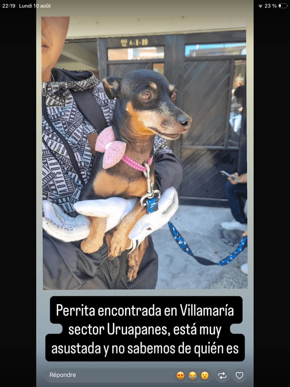 Foto de Mascota encontrada